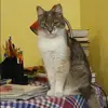 Отзыв от Лера Сафонова